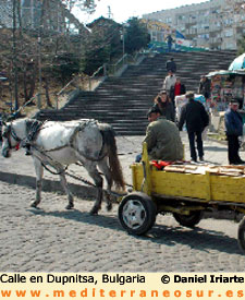 Calle en Dupnitsa