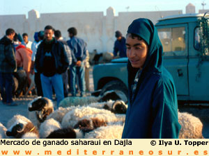 Mercado en Dajla